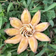 Becca P.
