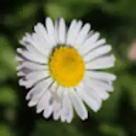 Karen G.