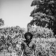 Lemel D.