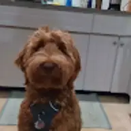 Sam P.