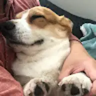 雨辰 牛.