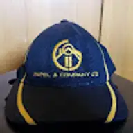 Sandipkumar P.