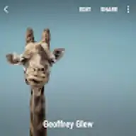 Geoffrey G.