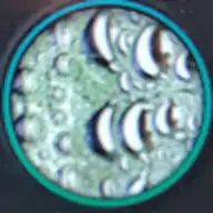Chrystian B.