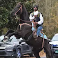 Perrio R.