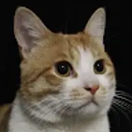 Tom W.