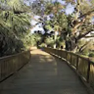 Tara R.