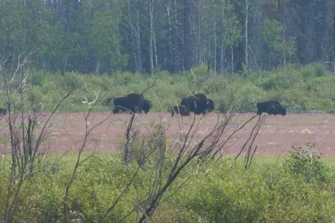 Fort Providence Territorial Park