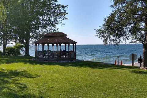 Willows on the Lake