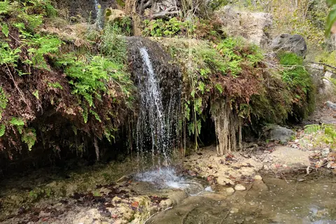 Lost Maples State Natural Area