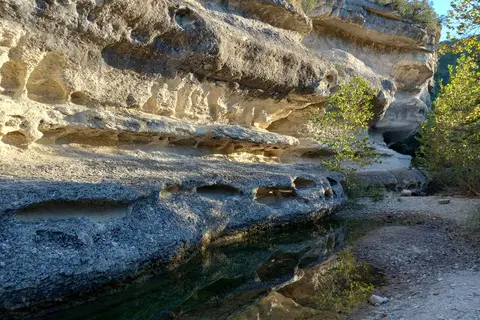 Lost Maples State Natural Area