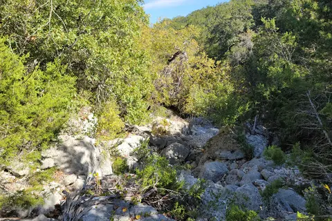 Lost Maples State Natural Area