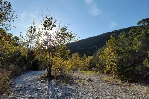 Lost Maples State Natural Area