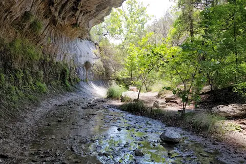 Lost Maples State Natural Area