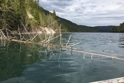 Johnson Lake Resort