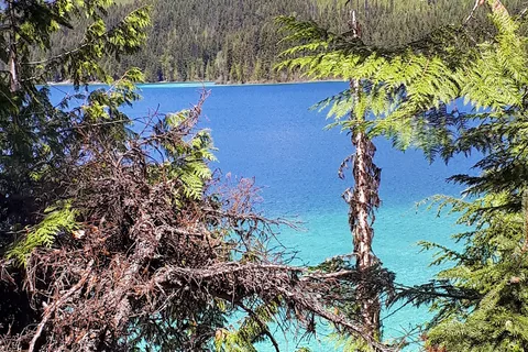 Johnson Lake Resort