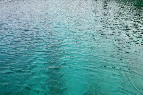 Johnson Lake Resort