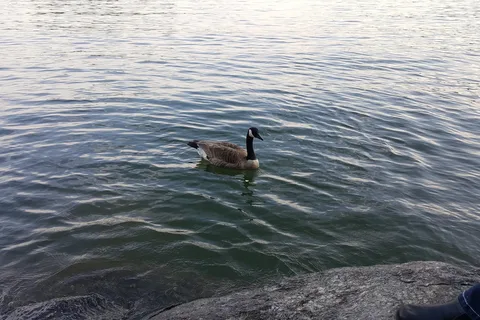 Bartow Gatewood Park (Bartow Beach Campground)