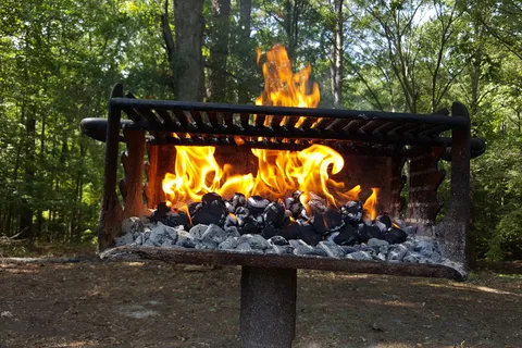 Bartow Gatewood Park (Bartow Beach Campground)