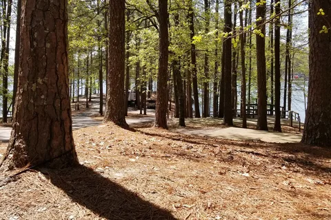 Bartow Gatewood Park (Bartow Beach Campground)
