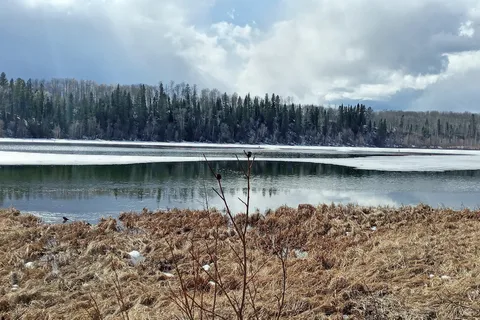 Mitchell Lake Provincial Recreational Area