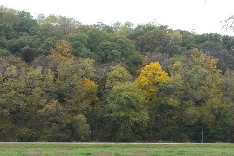 Lewis and Clark/Brownville State Recreation Area