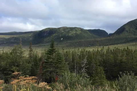 Lomond Campground - Gros Morne National Park