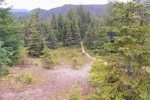 Lomond Campground - Gros Morne National Park