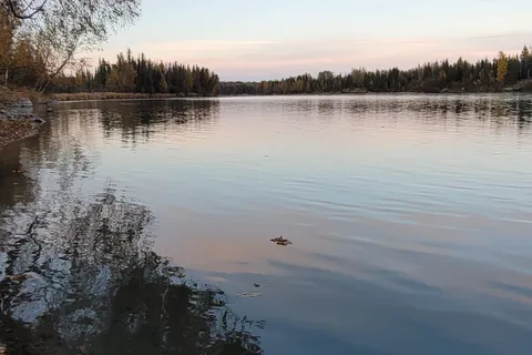 Morgans Landing State Recreation Site