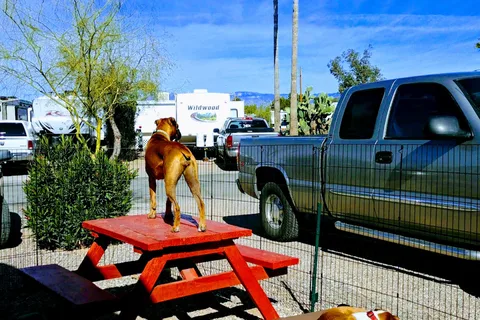 Crazy Horse Campground and RV Park