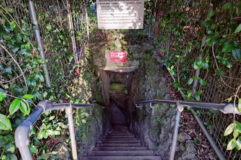 Devils Den Springs Resort