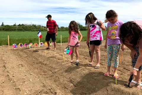 Bouctouche Baie Chalets Et Camping