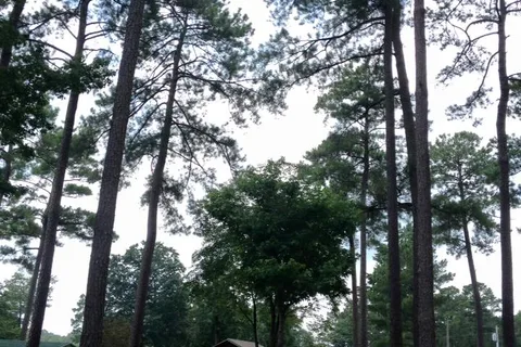 Lake Waldos Beach Campground