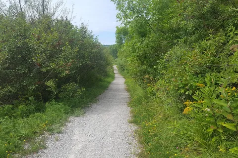 Indian Point Campground