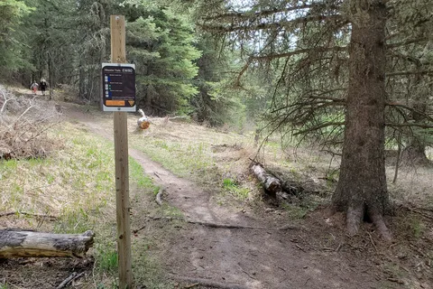 Ferguson Hill - Cypress Hills Interprovincial Park - Alberta