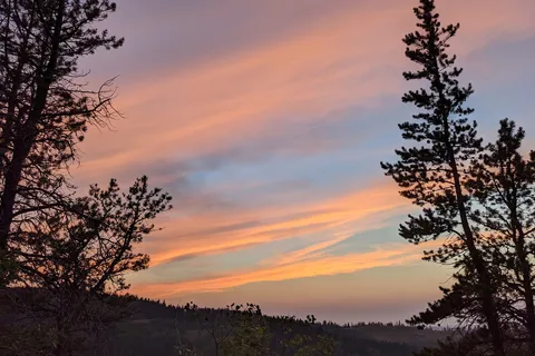 Ferguson Hill - Cypress Hills Interprovincial Park - Alberta