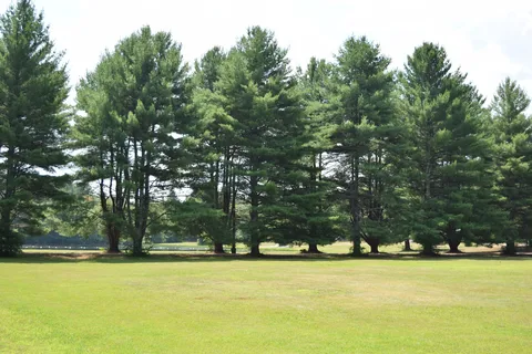 The Quarry Campground