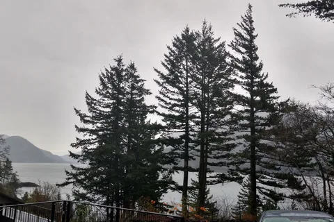 The Resort At Skamania Coves