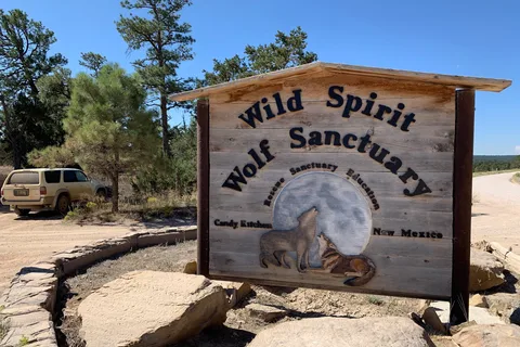 Wild Spirit Wolf Sanctuary
