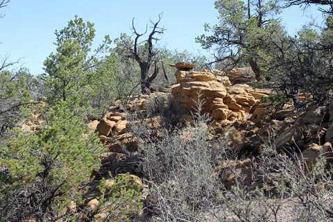 Wild Spirit Wolf Sanctuary