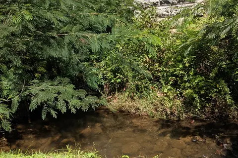 Rivers Edge Mountain RV Resort