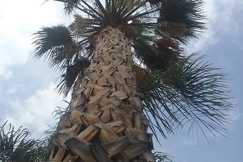 San Bernardino RV Park