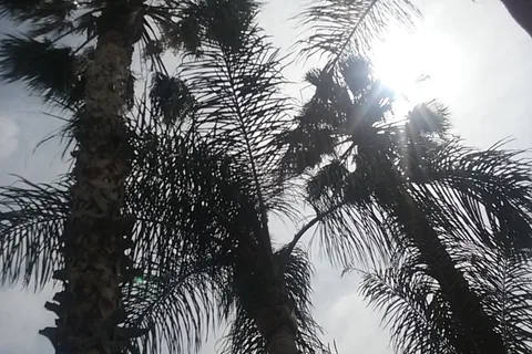 San Bernardino RV Park