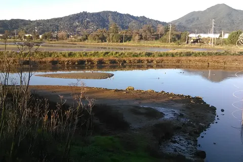 Golden Gate Trailer Park