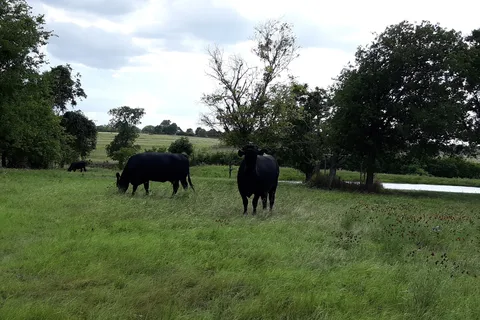 East View RV Ranch