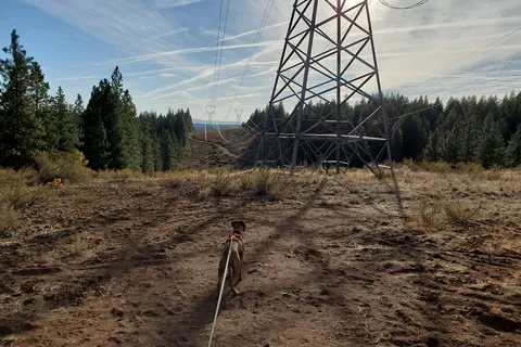 Brooks Memorial State Park