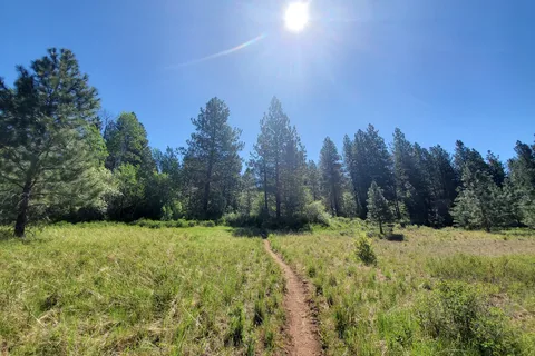 Brooks Memorial State Park