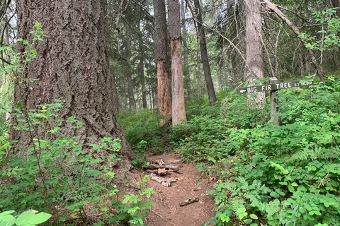 Brooks Memorial State Park