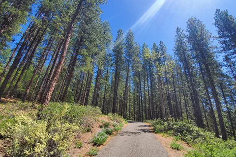 Brooks Memorial State Park
