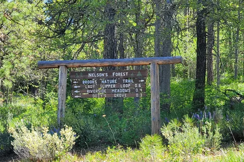 Brooks Memorial State Park